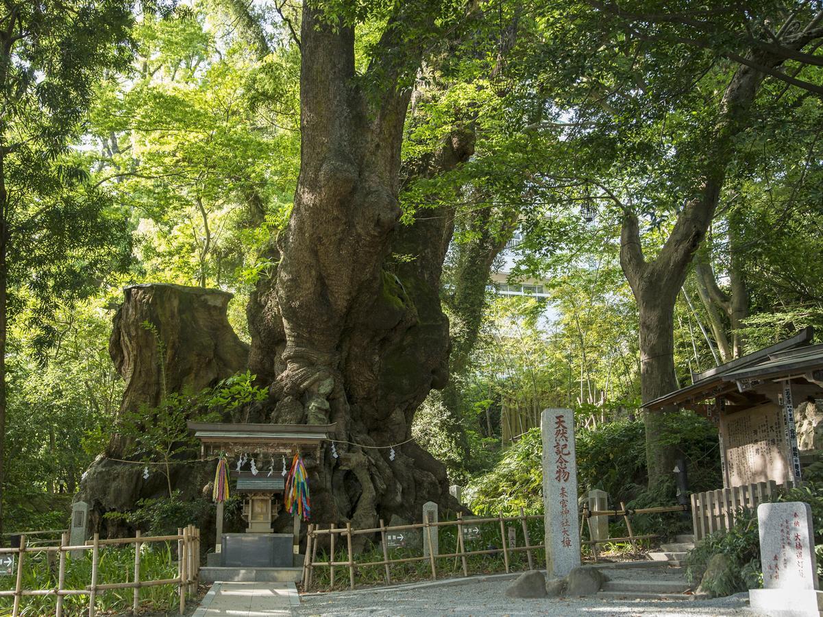 Tkp Lectore Atami Momoyama Dış mekan fotoğraf